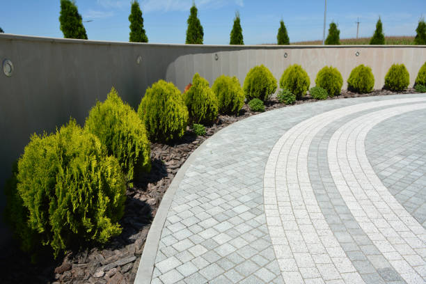 Driveway Repair Near Me in Hiram, GA